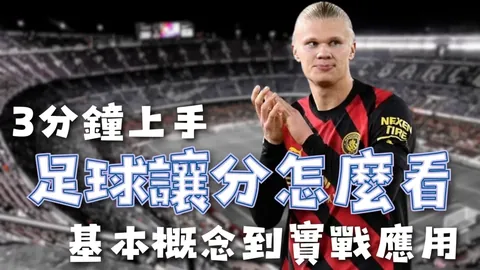 绿色消费热潮：青年追捧二手购物与精致小份菜